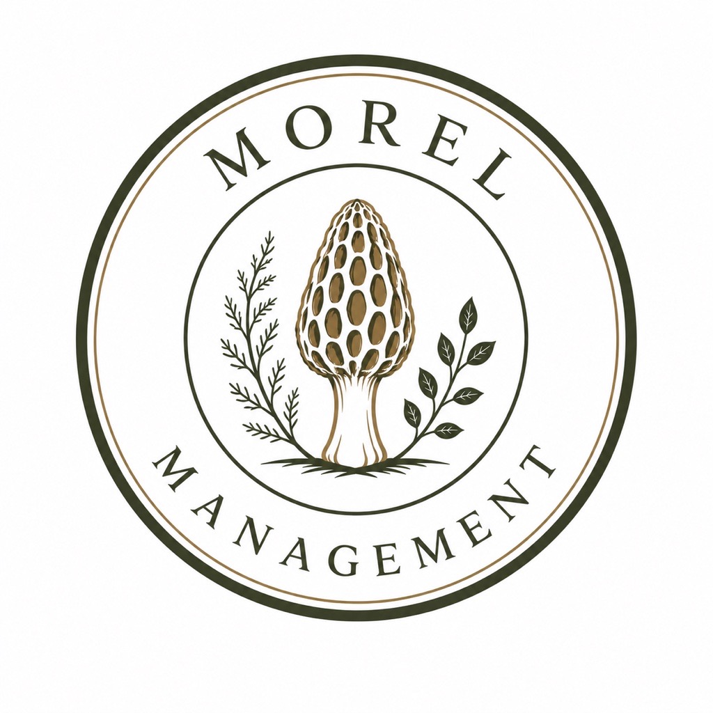 Morel Management logotyp